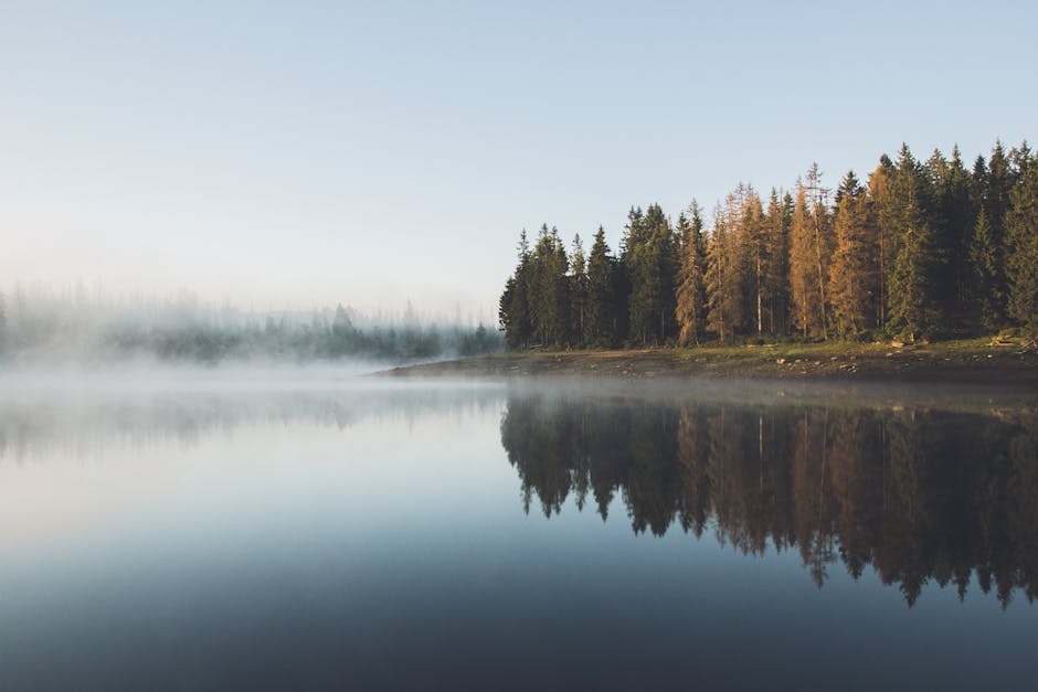 Peaceful lake scene with fog over water and trees reflected at dawn.