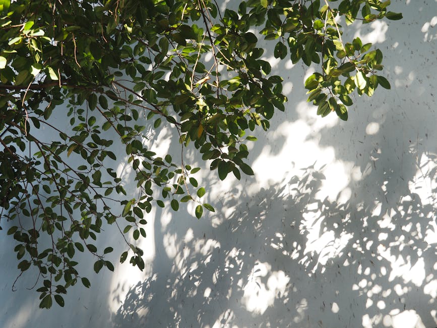 Free stock photo of city snap, hong kong, hongkong