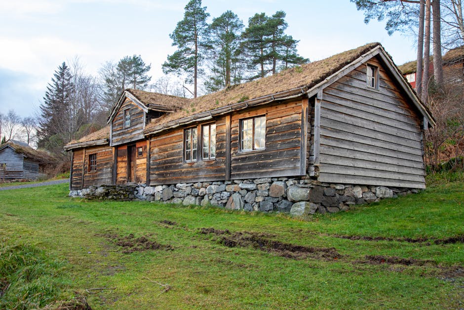 A picturesque Norwegian cabin with grass roof in a serene forest setting during daytime.