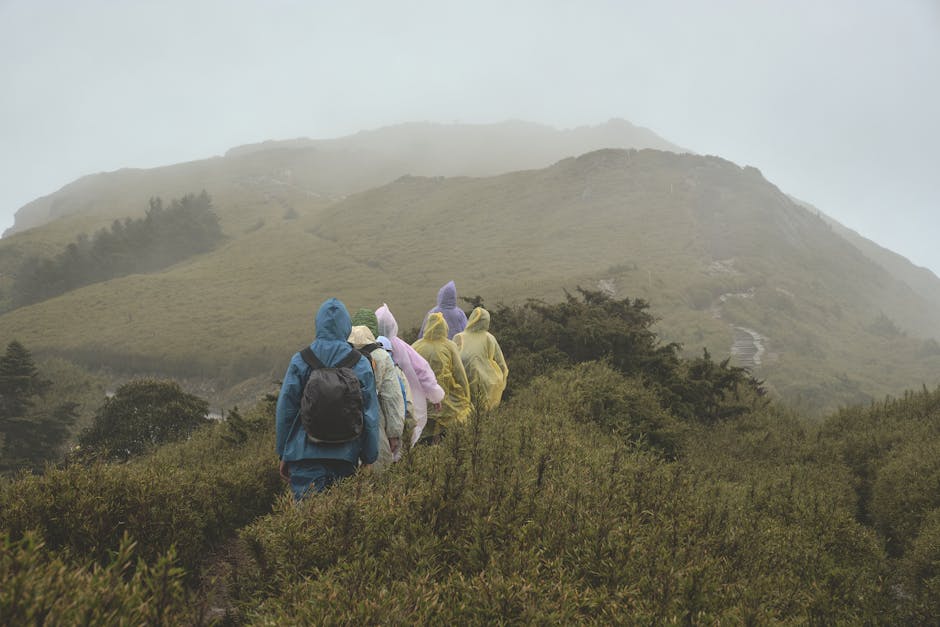 A group of hikers in colorful raincoats trekking through Taiwan's misty mountains, surrounded by lush greenery.